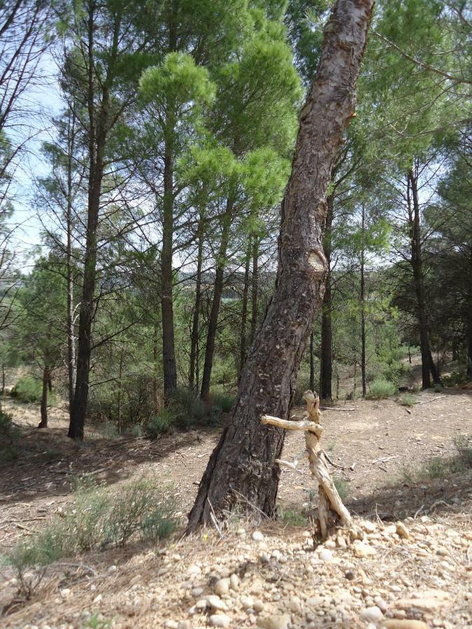 Casa Rural Parajes Del Jucar Casas de Benítez Extérieur photo